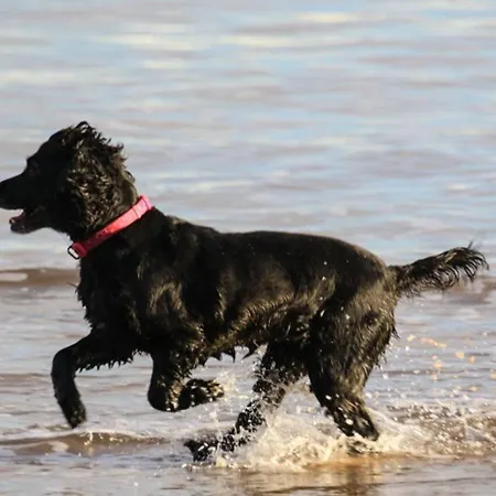 Hébergement de vacances Sandside Beachfront Perfectly